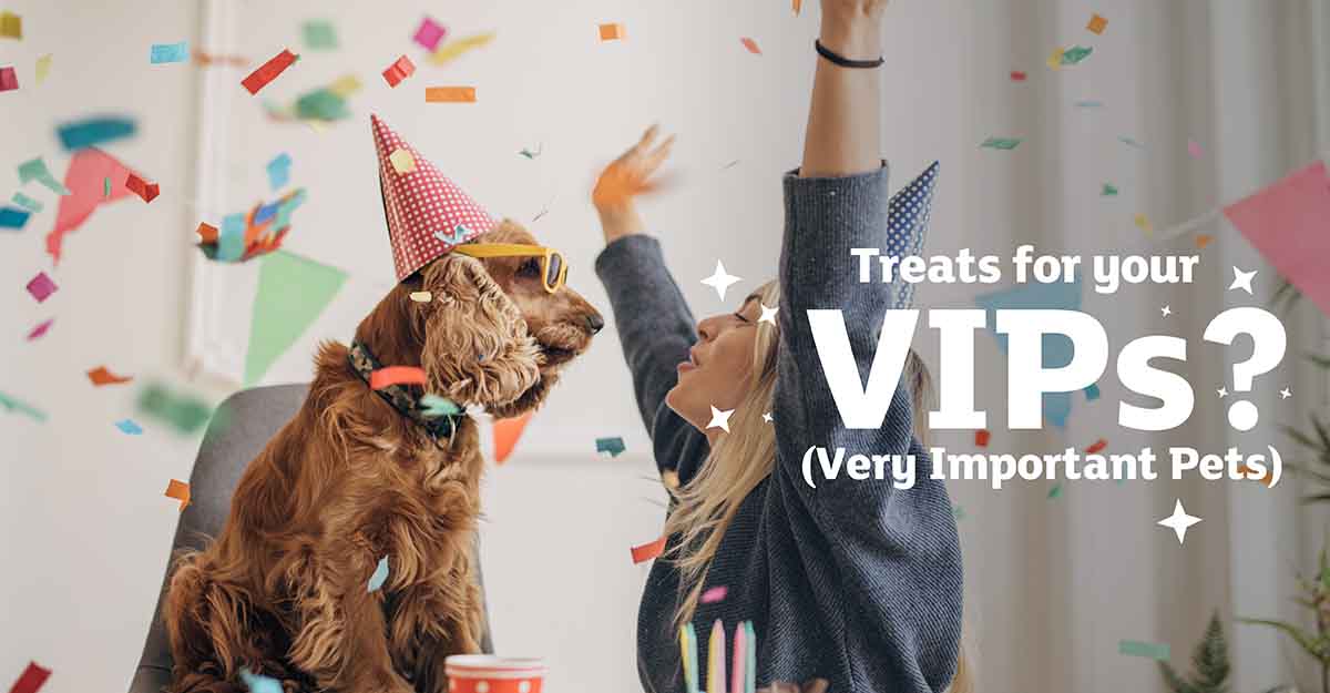 Woman celebrating with confetti and dog in party hat, 'Treats for your VIPs' banner