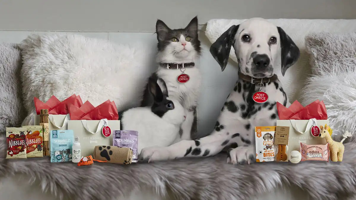 Cat, rabbit, and dog surrounded by Pet Hamper x Post Office gift boxes and treats