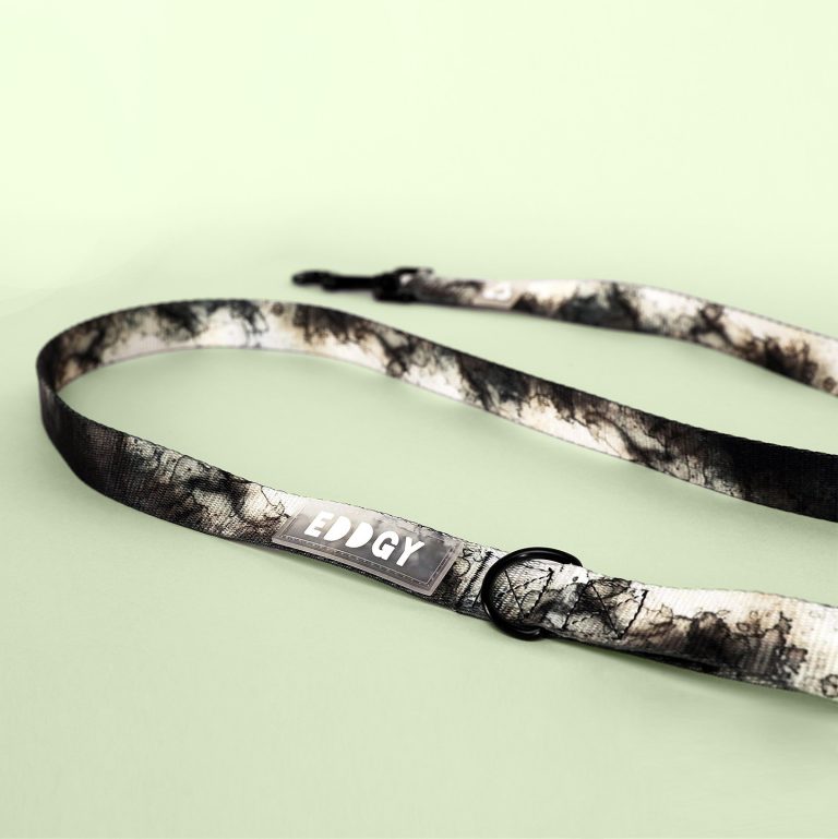 EDDGY 'Loki' Lead and Collar - Medium