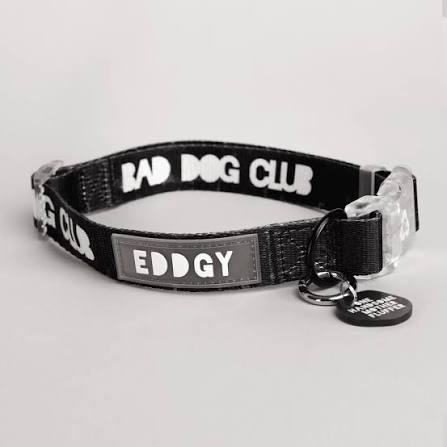 EDDGY 'Bad Dog Club' Lead & Collar -Large