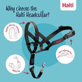 Halti Dog Headcollar - Black Size 2