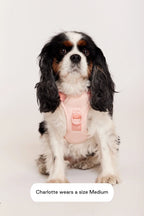 maxbone Easy Fit Harness - Pink - M