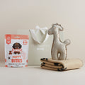 mini-puppy-pet-hamper