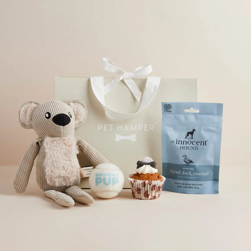 Birthday Boy dog hamper with plush koala toy, tennis ball, cupcake toy, duck sausage treats and gift bag