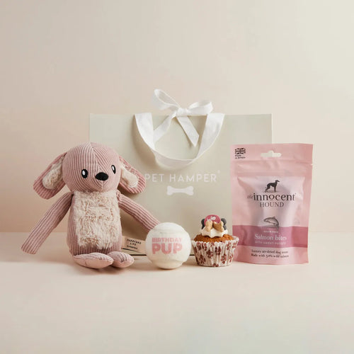Birthday Girl dog hamper with plush pink bunny toy, tennis ball, cupcake toy, salmon treats and gift bag