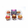 Trio of mini iced dog cupcakes with bone treat toppers in packaging, Barking Bakery Woofins