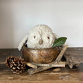 Ooo-Noo Owl Dog Toy