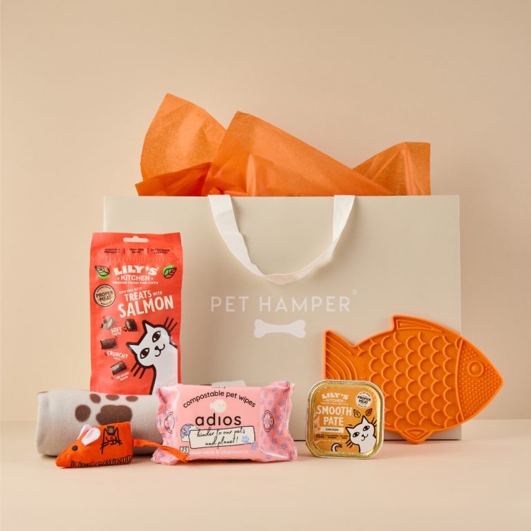 Sainsbury's Money Cat Hamper with Lily's Kitchen salmon treats and paté, pet wipes, mouse toy, fish lickmat and gift bag
